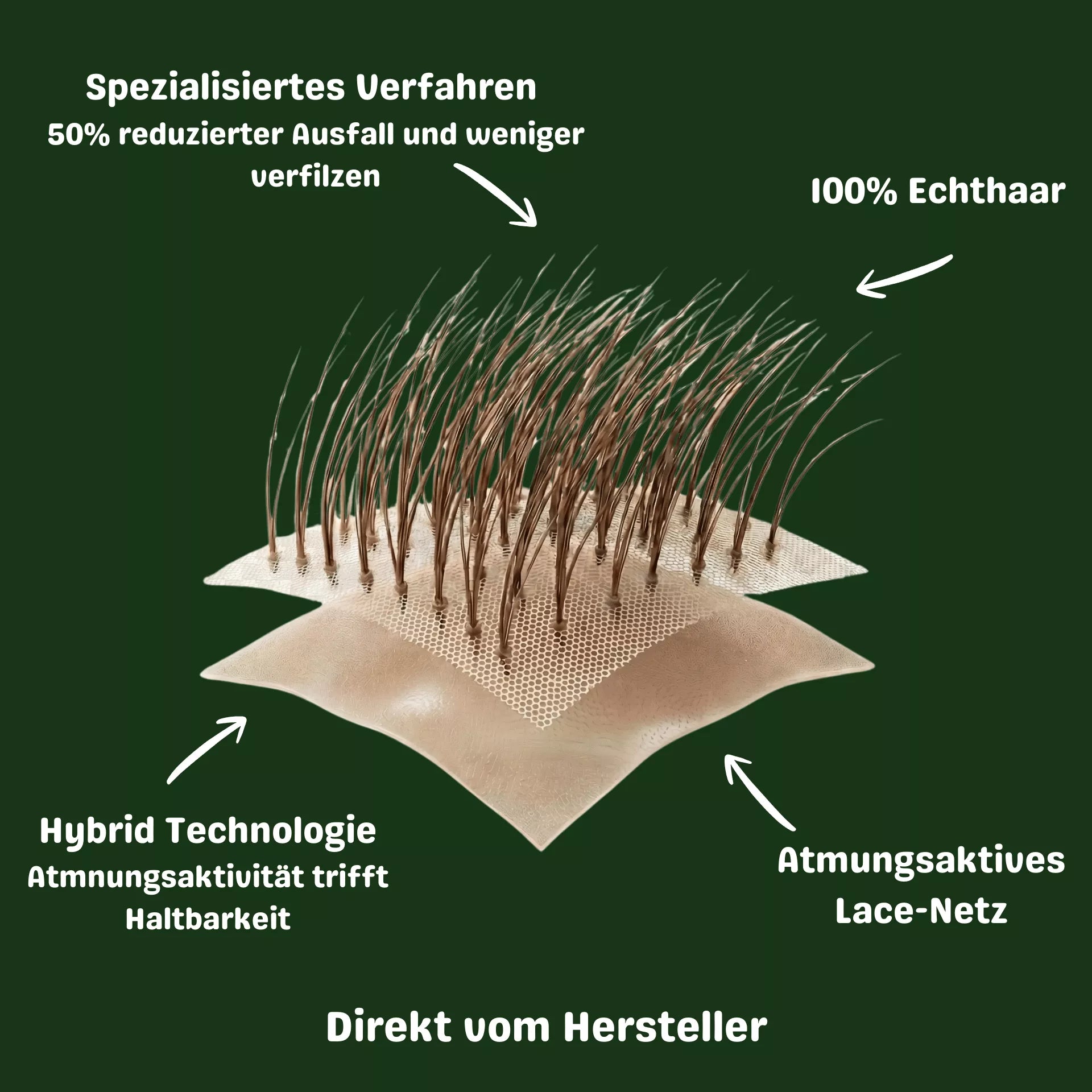 N6 - Heír